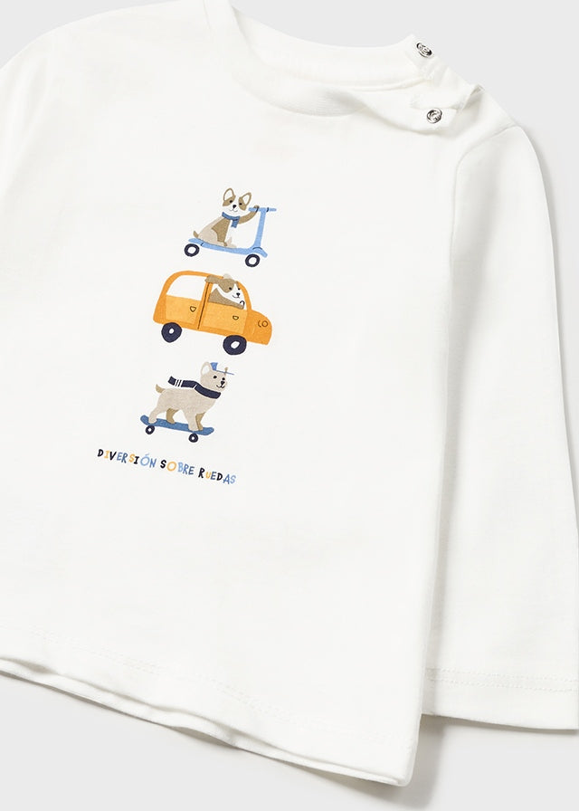 Conj. Pant. Camiseta chaleco