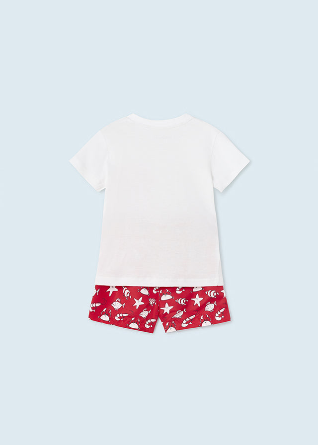Conj. Camiseta bañador