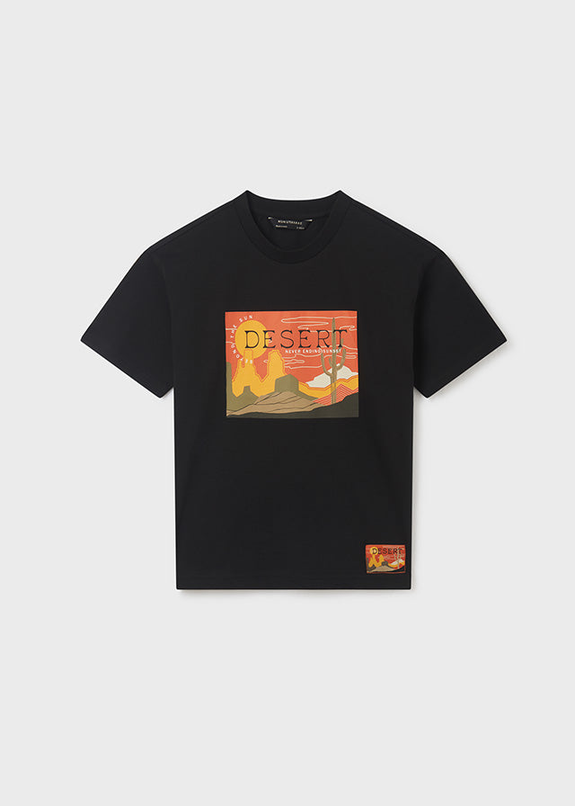 Camiseta m/c aplique