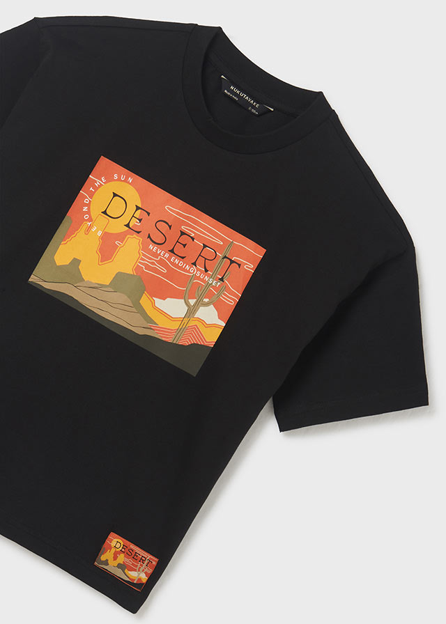 Camiseta m/c aplique