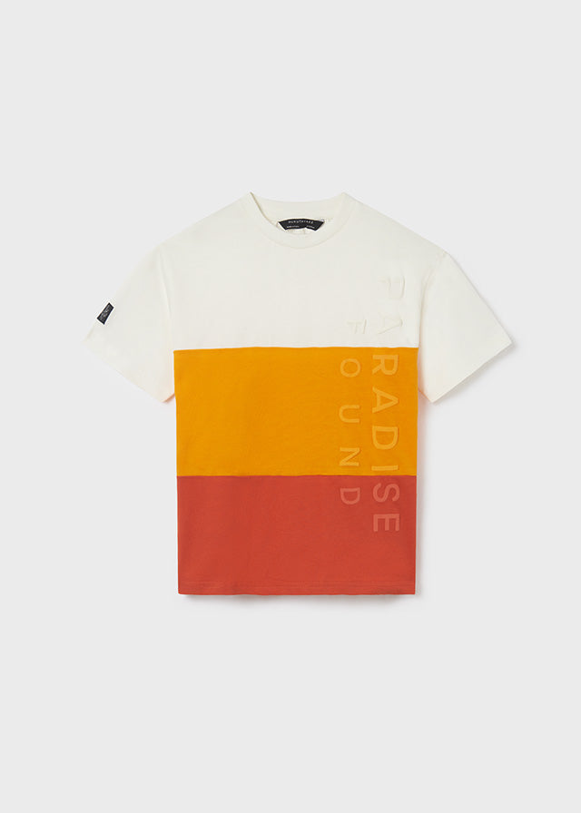 Camiseta m/c blocking