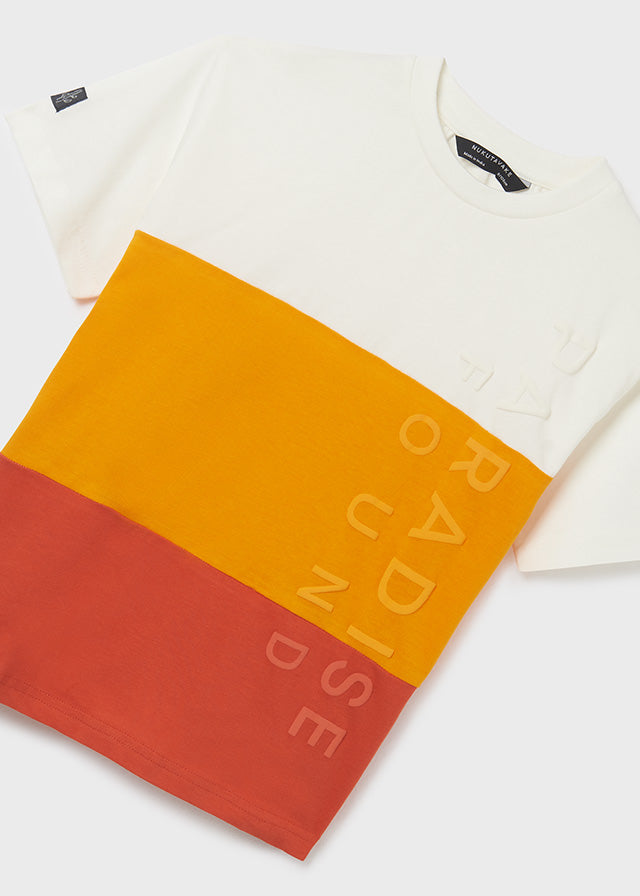 Camiseta m/c blocking