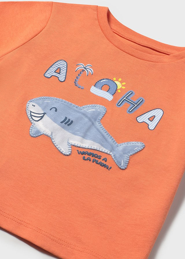 Camiseta m/c aplique