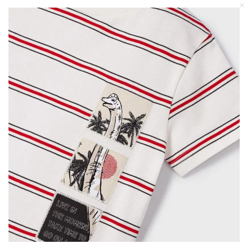 Camiseta M/C rayas apliques