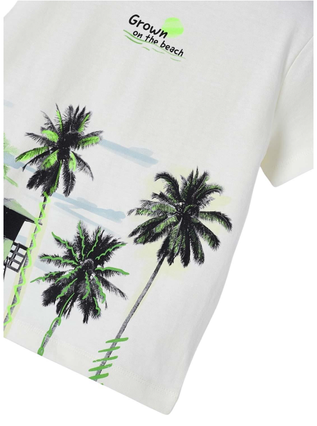 Polo punto palmeras