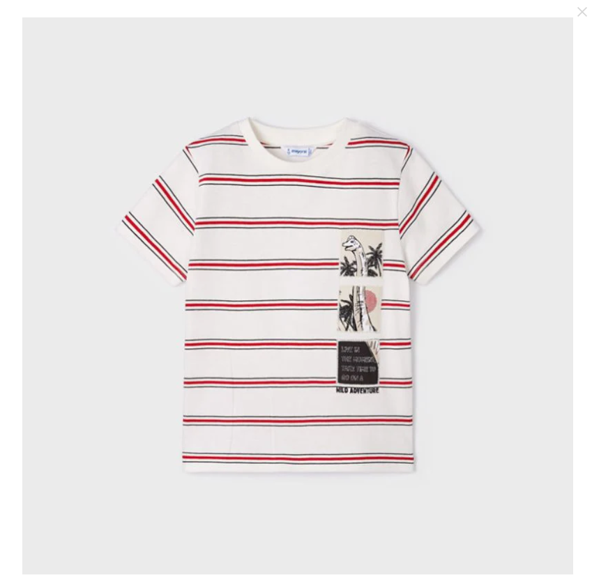 Camiseta M/C rayas apliques