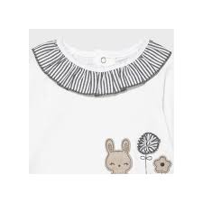 Conjunto polaina