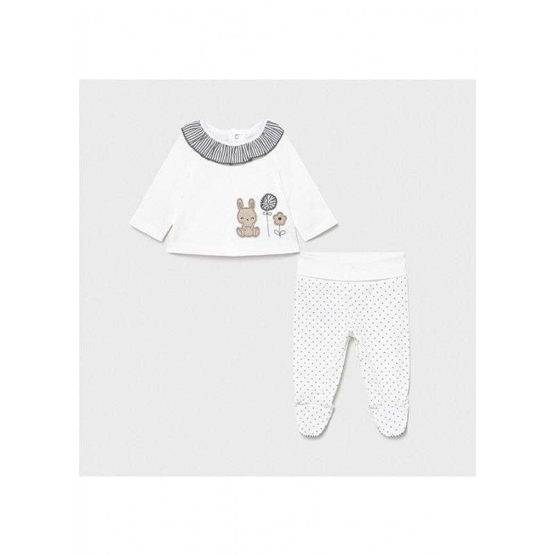 Conjunto polaina