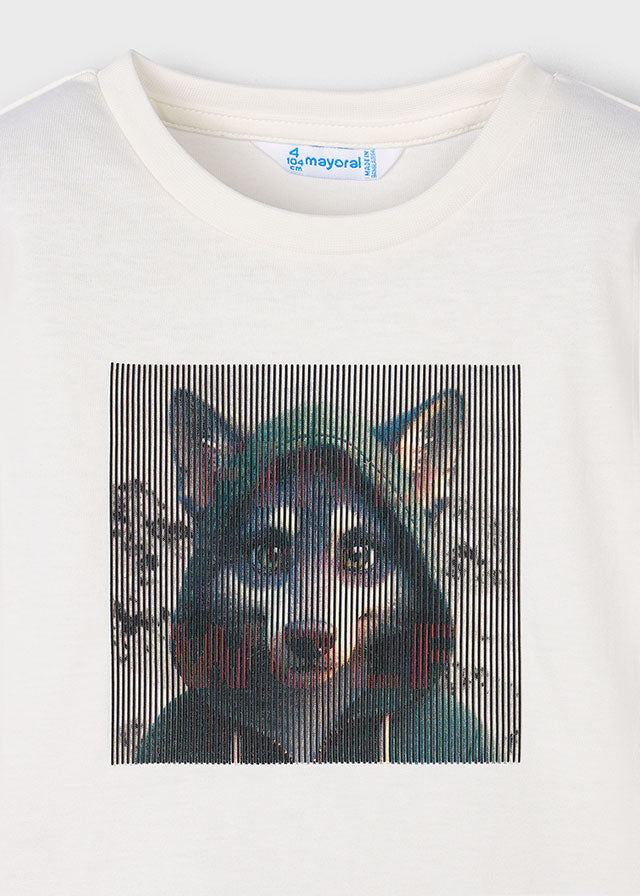 Camiseta m/l lenticular hd