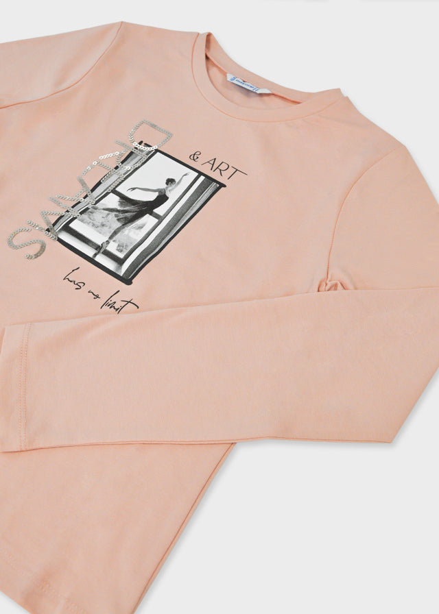 Camiseta m/l bordados
