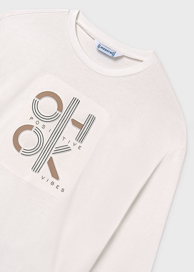 Camiseta m/l ok