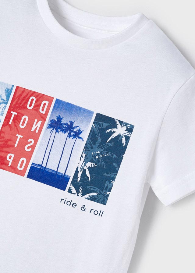 Conj. punto bermuda estampada