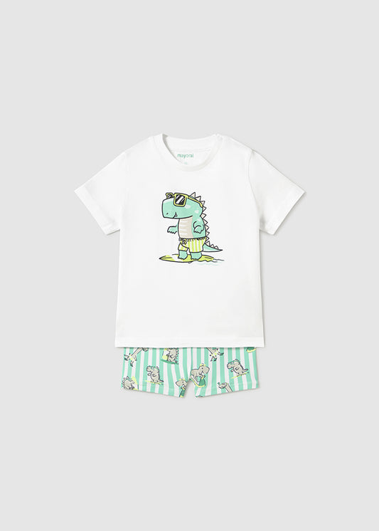 Conj. Bañador camiseta