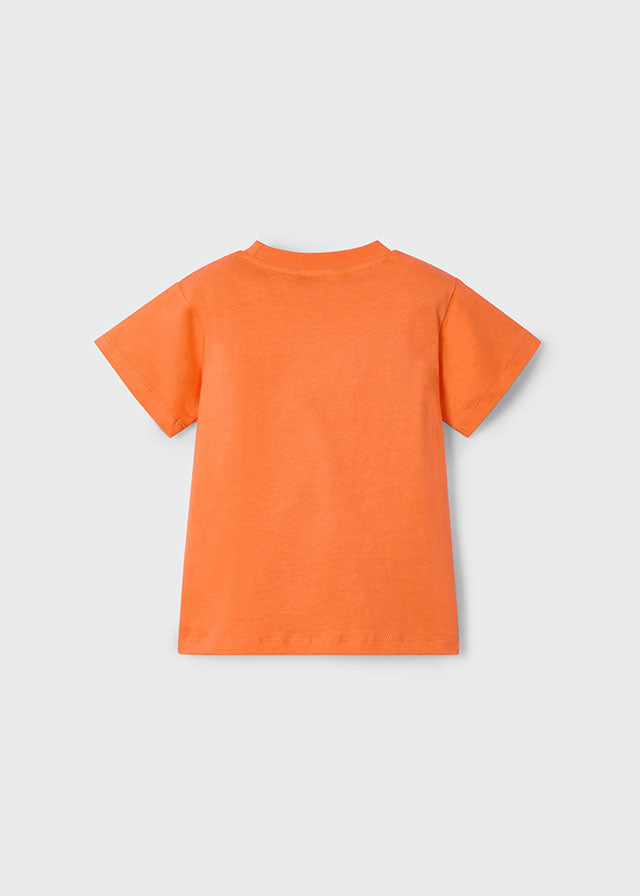 Conj. Punto "creative"