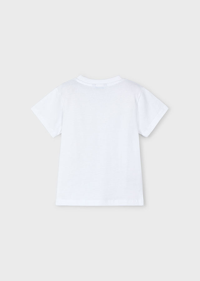 Conj. Punto "creative"