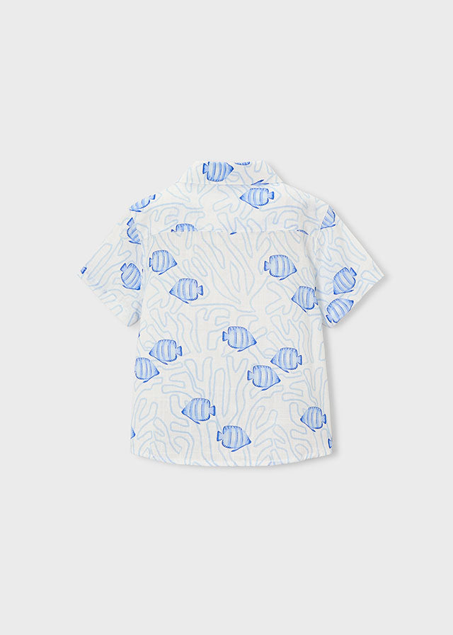 Camiseta m/c estampada