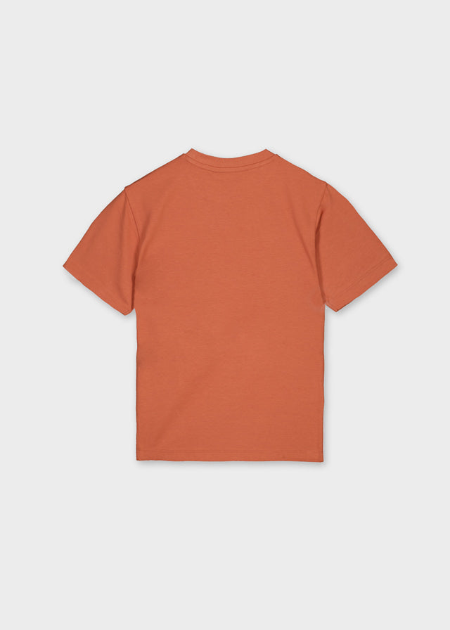 Camiseta m/c formal