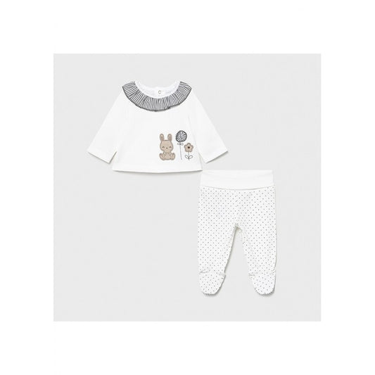 Conjunto polaina